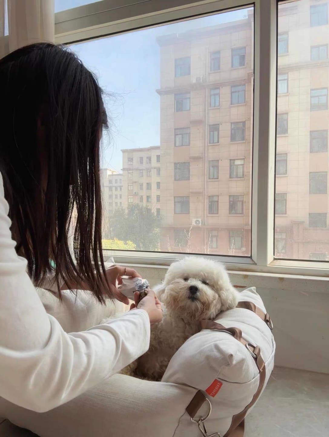 Customer photo review of 2-in-1 LED Pet Nail Trimmer