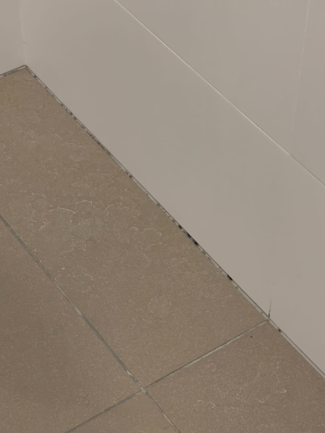 Customer photo review of GLASSGUARD® Miracle Mould Removal Gel
