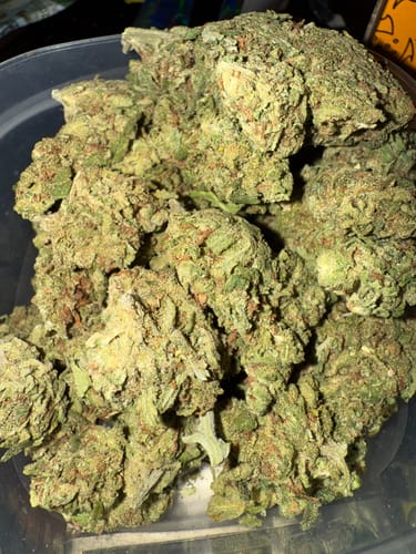 Garlic Cookies Indoor - Bulk - Hybrid photo review