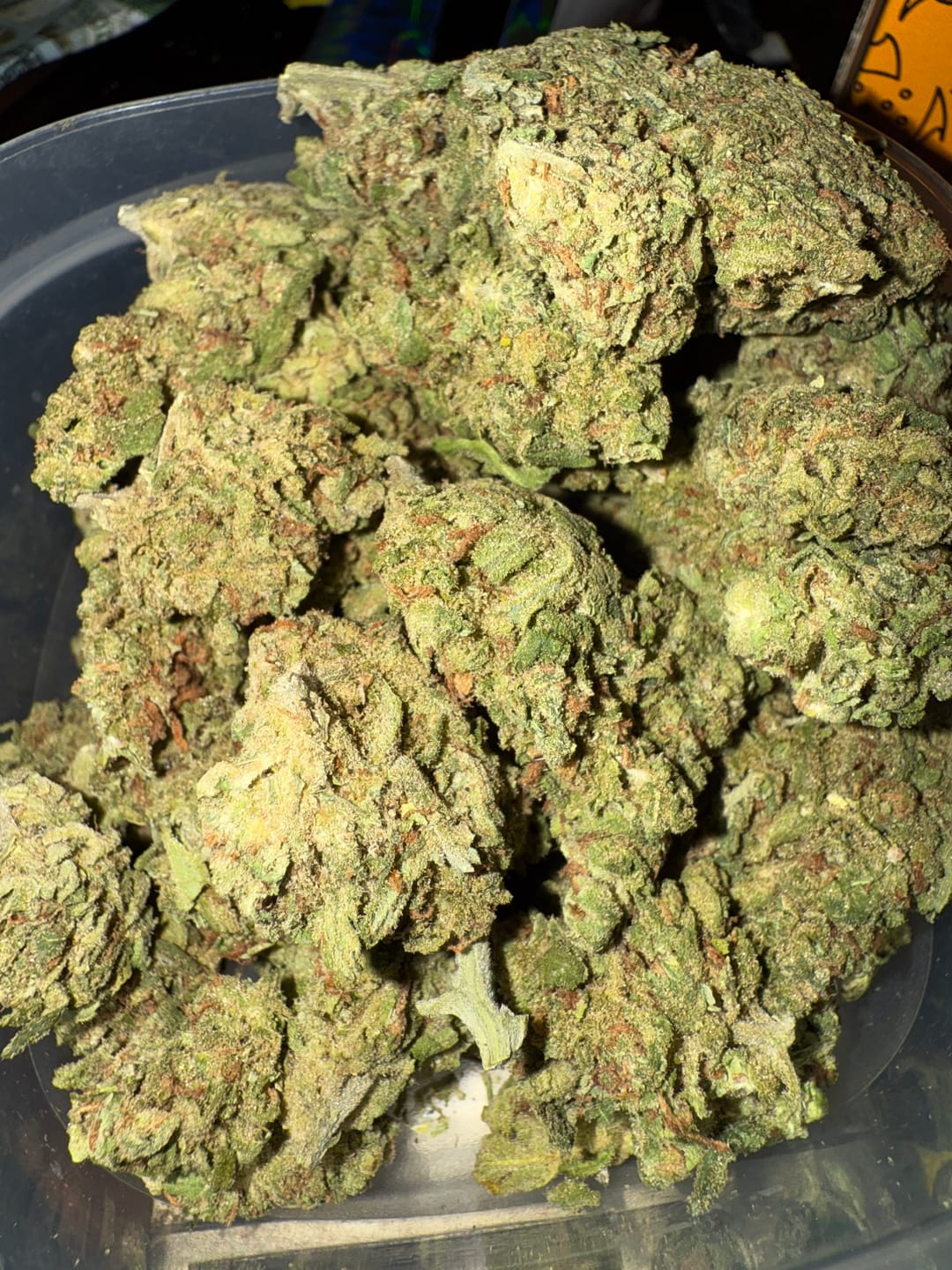 Customer photo review of Garlic Cookies Indoor - Bulk - Hybrid