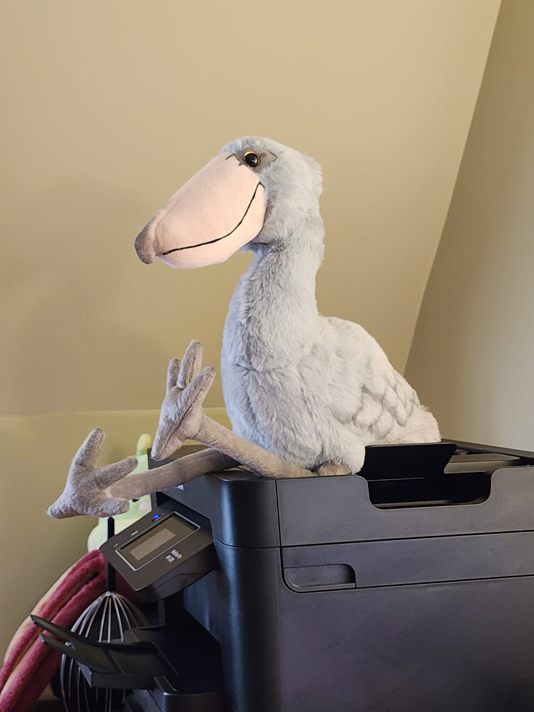 Customer photo review of Shoebill Stork Bird Soft Stuffed Plush Toy