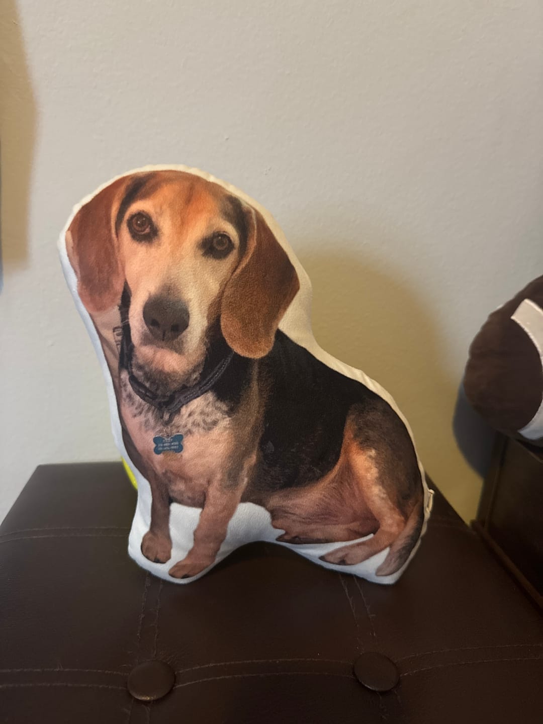 Customer photo review of Custom Dog Shaped Memorial Pillow for Pet Owners from Your Pet Picture
