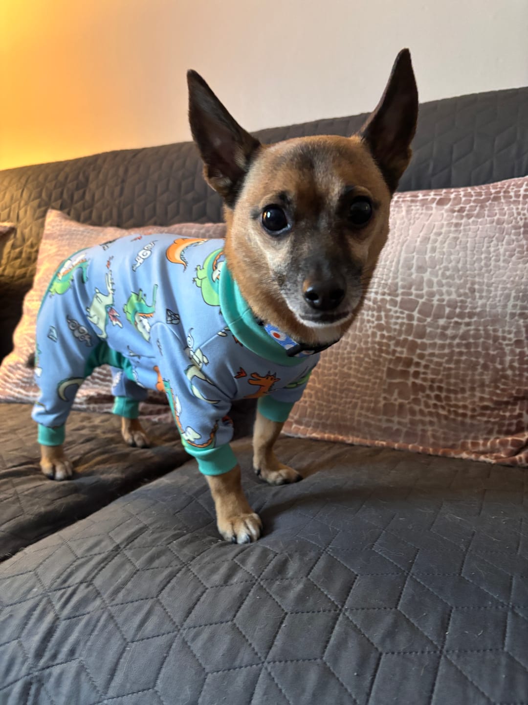 Customer photo review of Dog Pajama Prints
