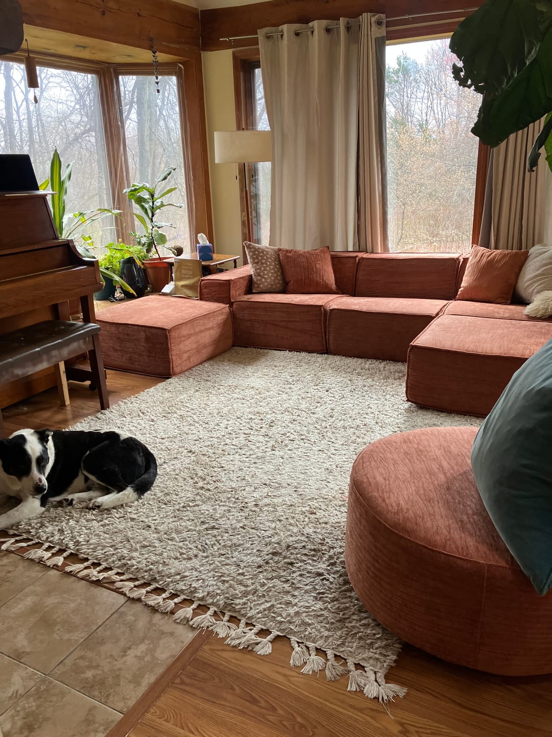 Customer photo review of M1 Sofa Sectional
