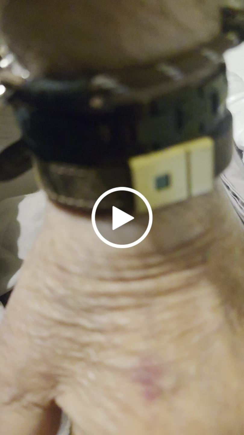 Customer video review of Gold Stability Bracelet