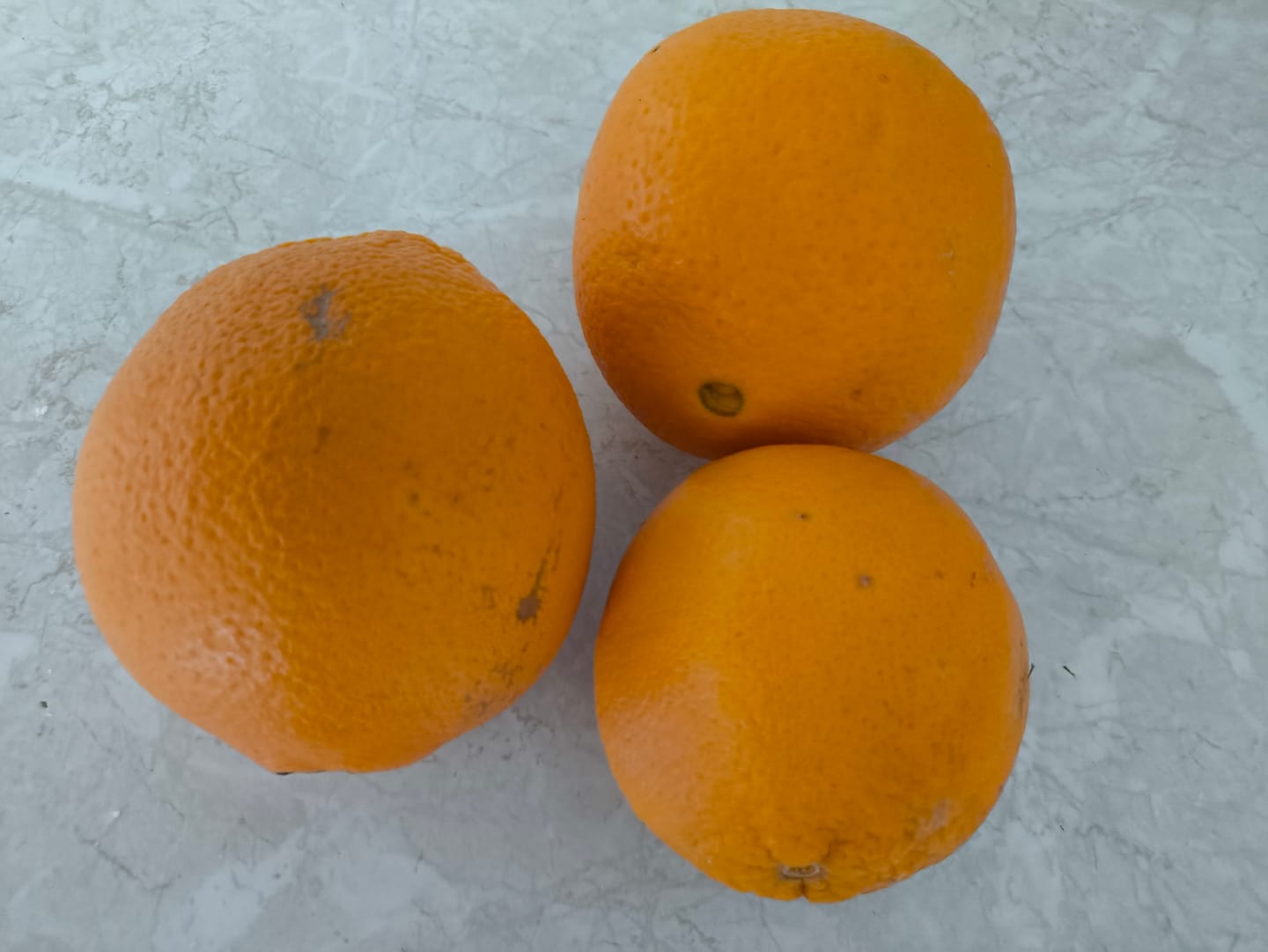 Customer photo review of Orangen Lane Late Bio von Apostolis Kreta 4kg Box