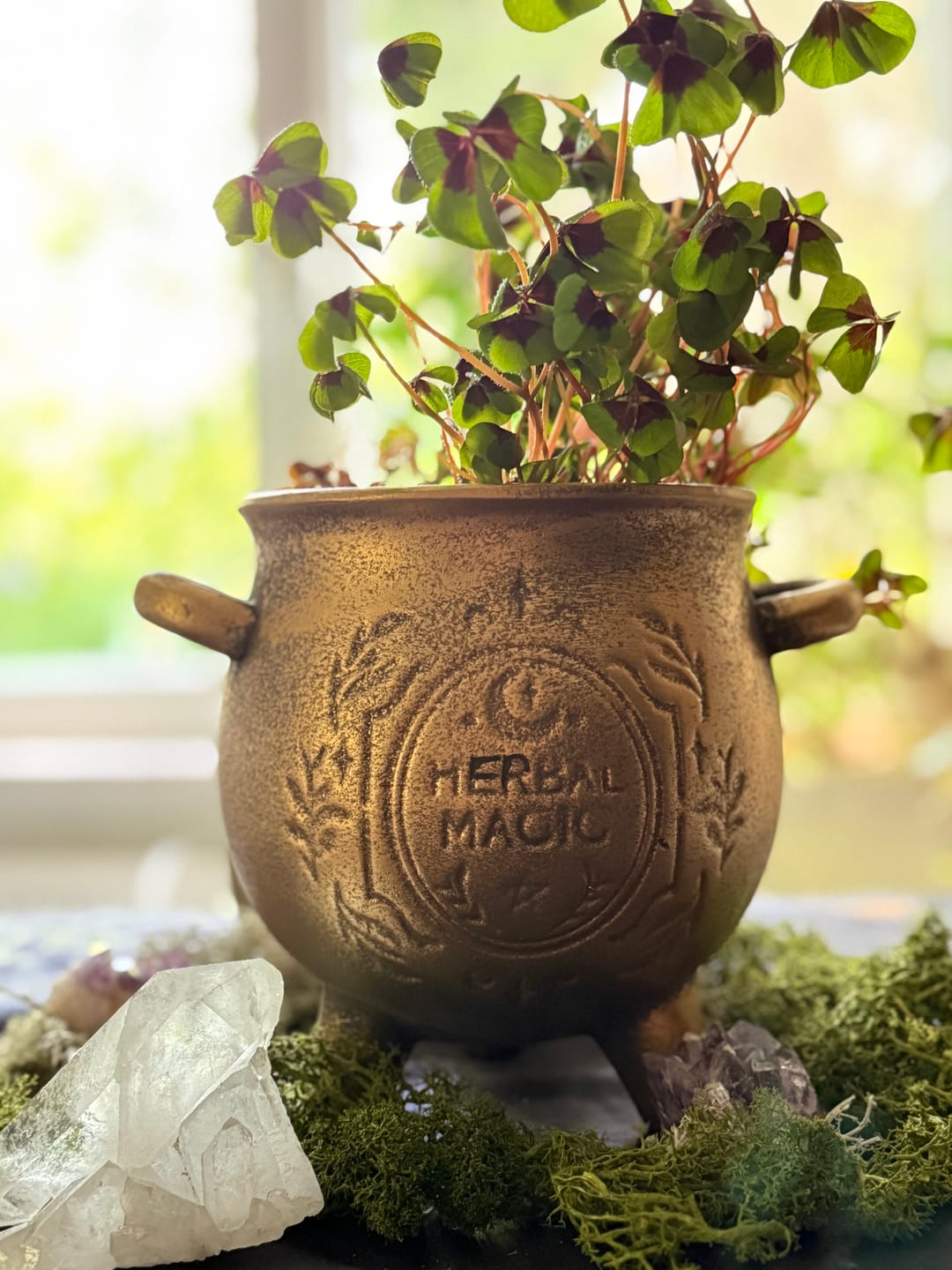 Customer photo review of Herbal Magic Kessel-Blumentopf – Terrakotta Pflanzenkessel in Bronzeoptik