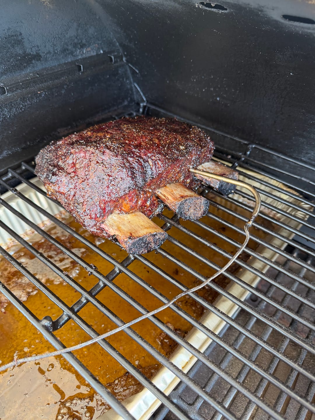 Customer photo review of USDA Choice Bone-In Short Ribs