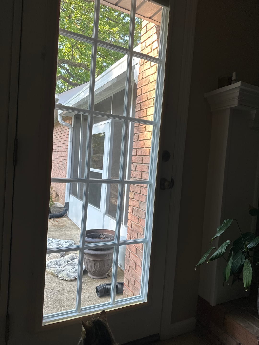 Customer photo review of Clear 15 Lite Glass and Frame Kit (Full Lite)