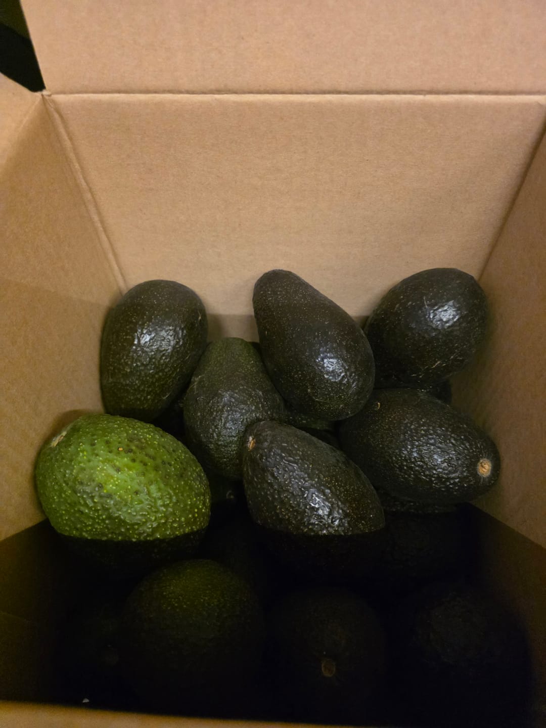 Customer photo review of 5 kg Palta Hass Chilena