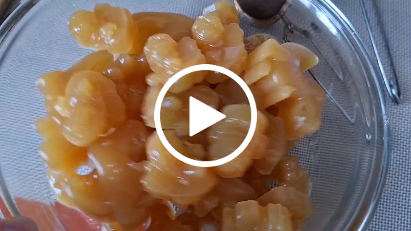 Customer video review of Rindergelatine Pulver - Grass Fed Beef Gelatine