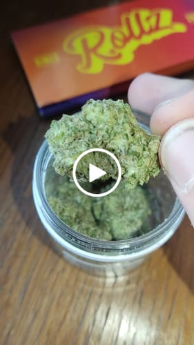 Customer video review of Biscotti Mintz 31% THCA