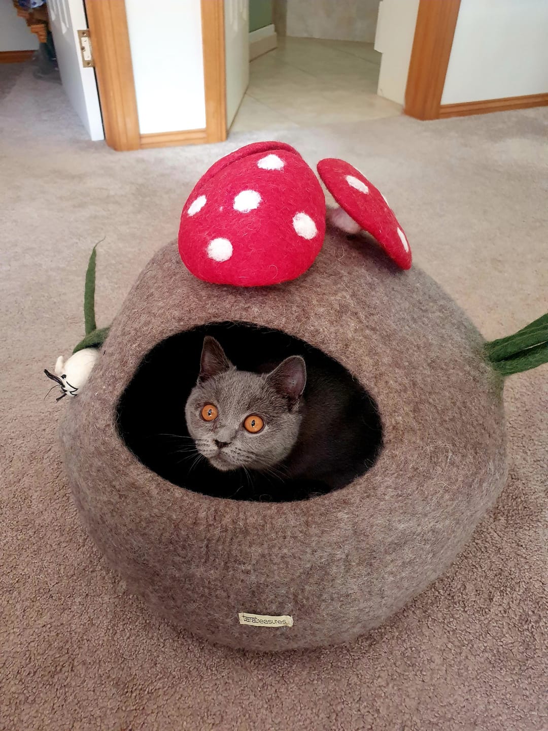 Customer photo review of Toadstool Cat Cave with Mouse Toy