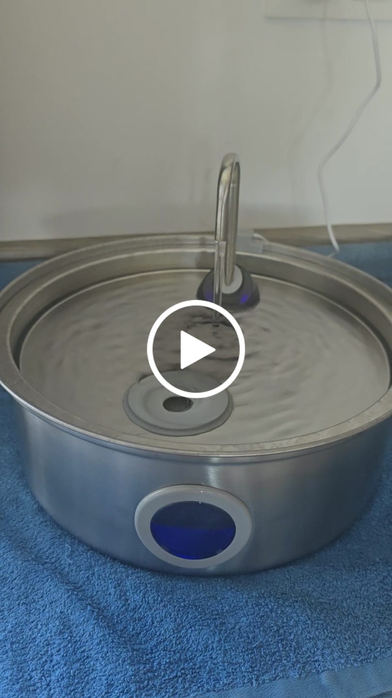 Customer video review of Oneisall 7L Pet Water Fountain with Visual Water Level & 3 Filters