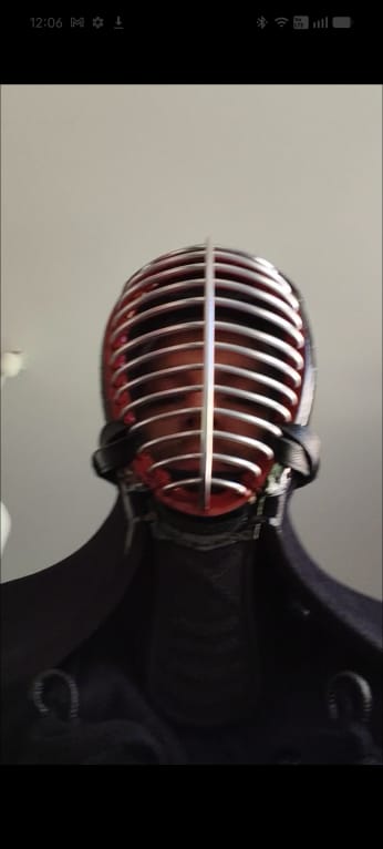 Customer photo review of *SPECIAL OFFER* - Original ’VANGUARD’ Extra Protective KendoStar Bogu Set