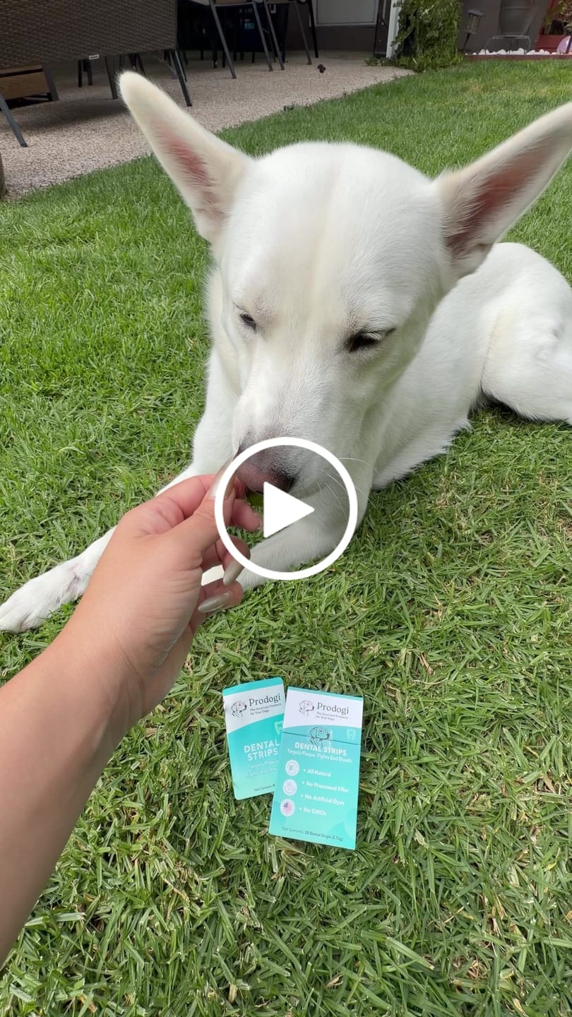 Customer video review of DENTAL STRIPS