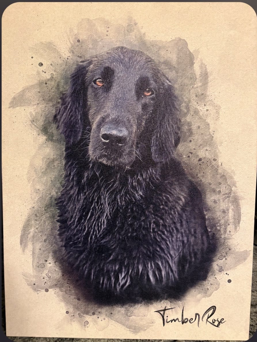 Customer photo review of Personalized Pet portrait