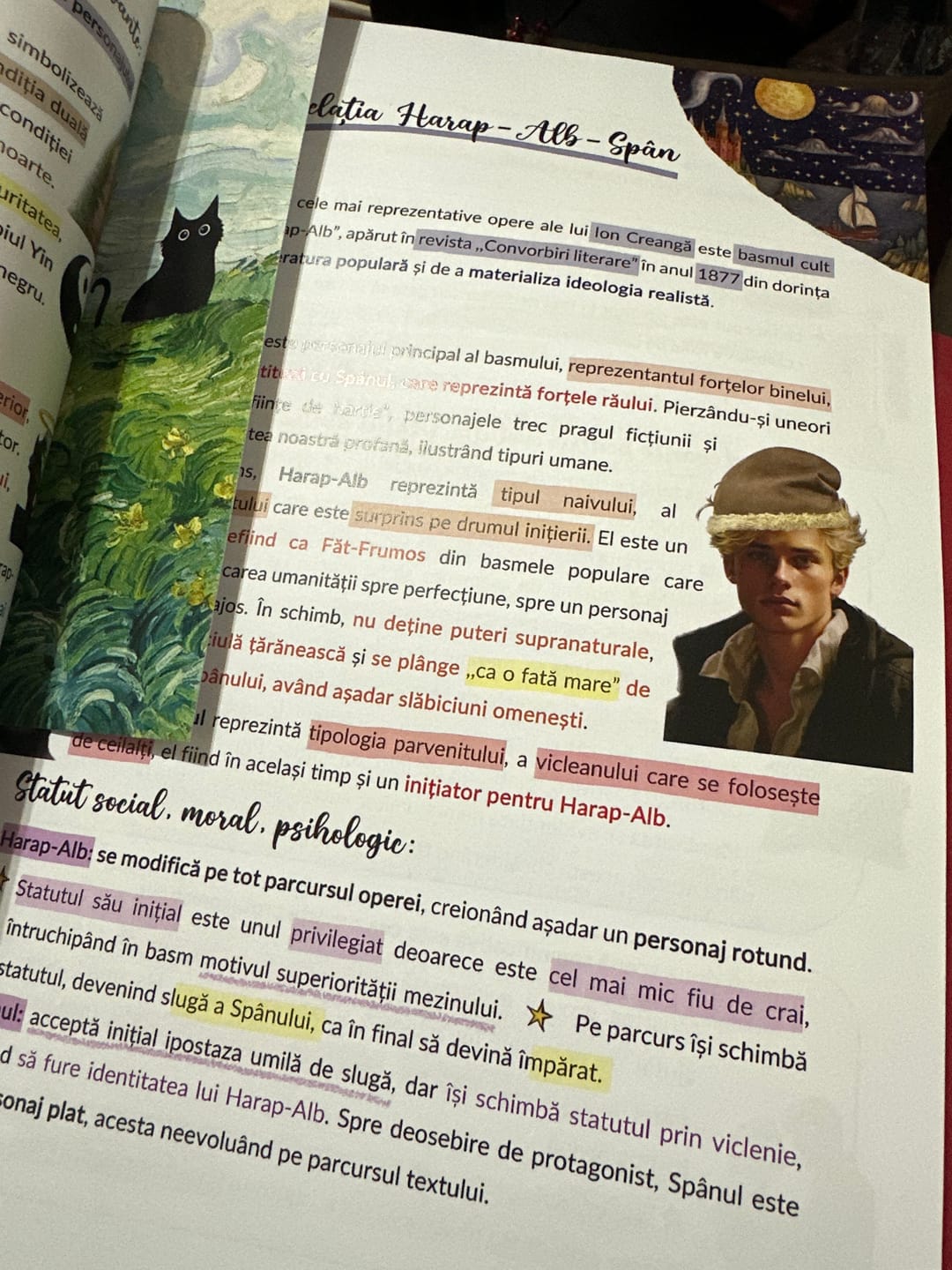 Customer photo review of Audiobook – Eseuri Audio BAC Română (temă și viziune, caracterizare, relație) + Quiz-uri