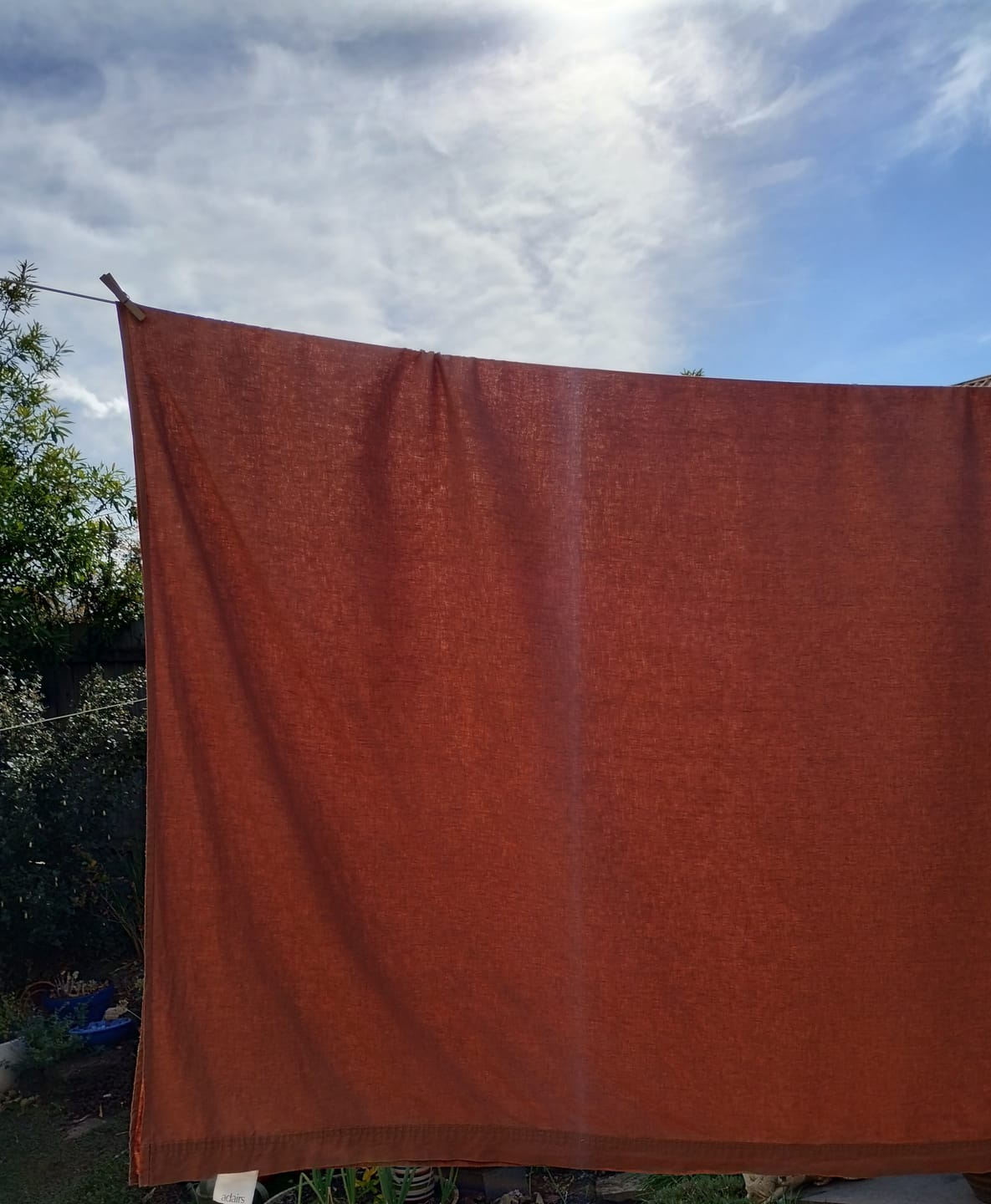 Customer photo review of Regular Washing Powder (Double Concentrate)