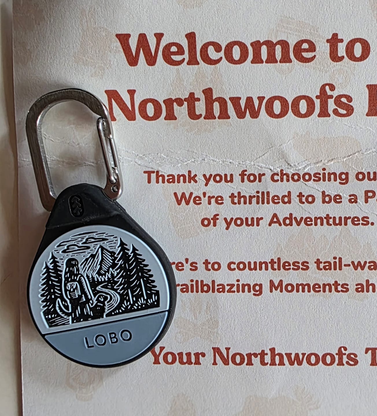 Customer photo review of Hike More - Silent Dog ID Tag