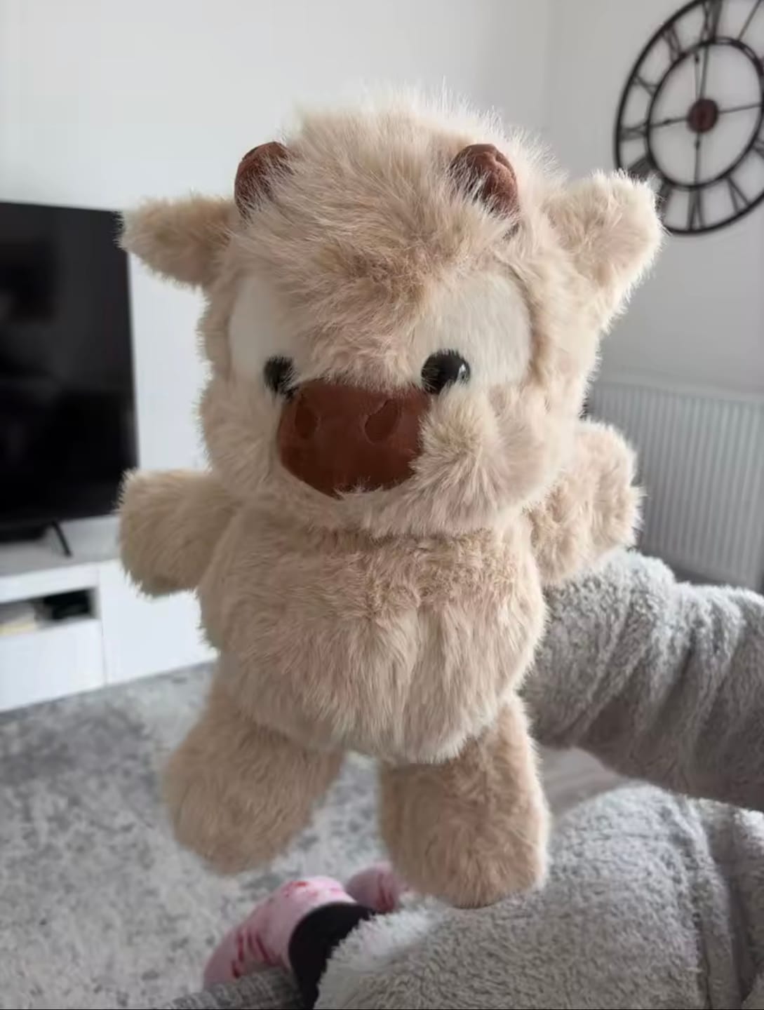 Customer photo review of Kiki & Koko los peluches que corren a tus brazos