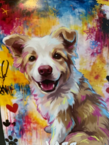 Customer photo review of Personalised Poster With Dog or Cat - Graffiti