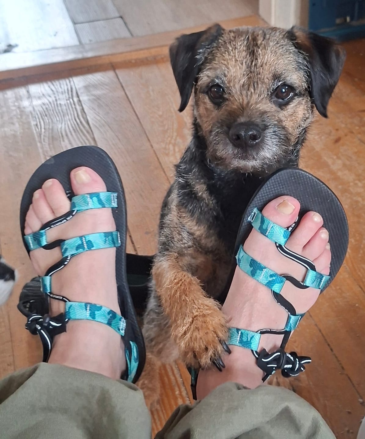 Customer photo review of Nudo II - Sandales barefoot