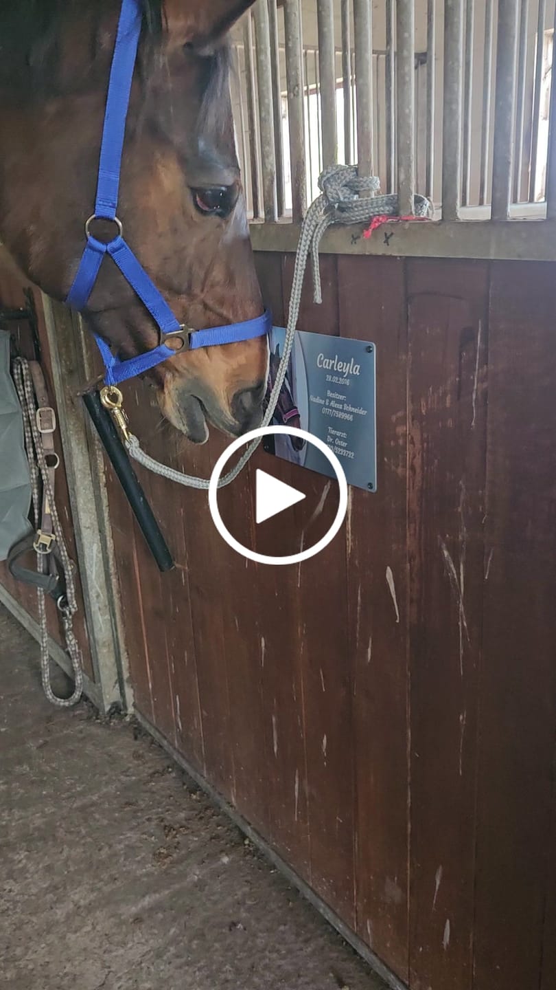 Customer video review of Pferde Boxenschild mit Foto & Wunschtext (UV- und wetterfest)