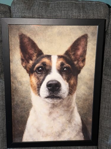 Customer photo review of Classic - Custom Pet Portrait