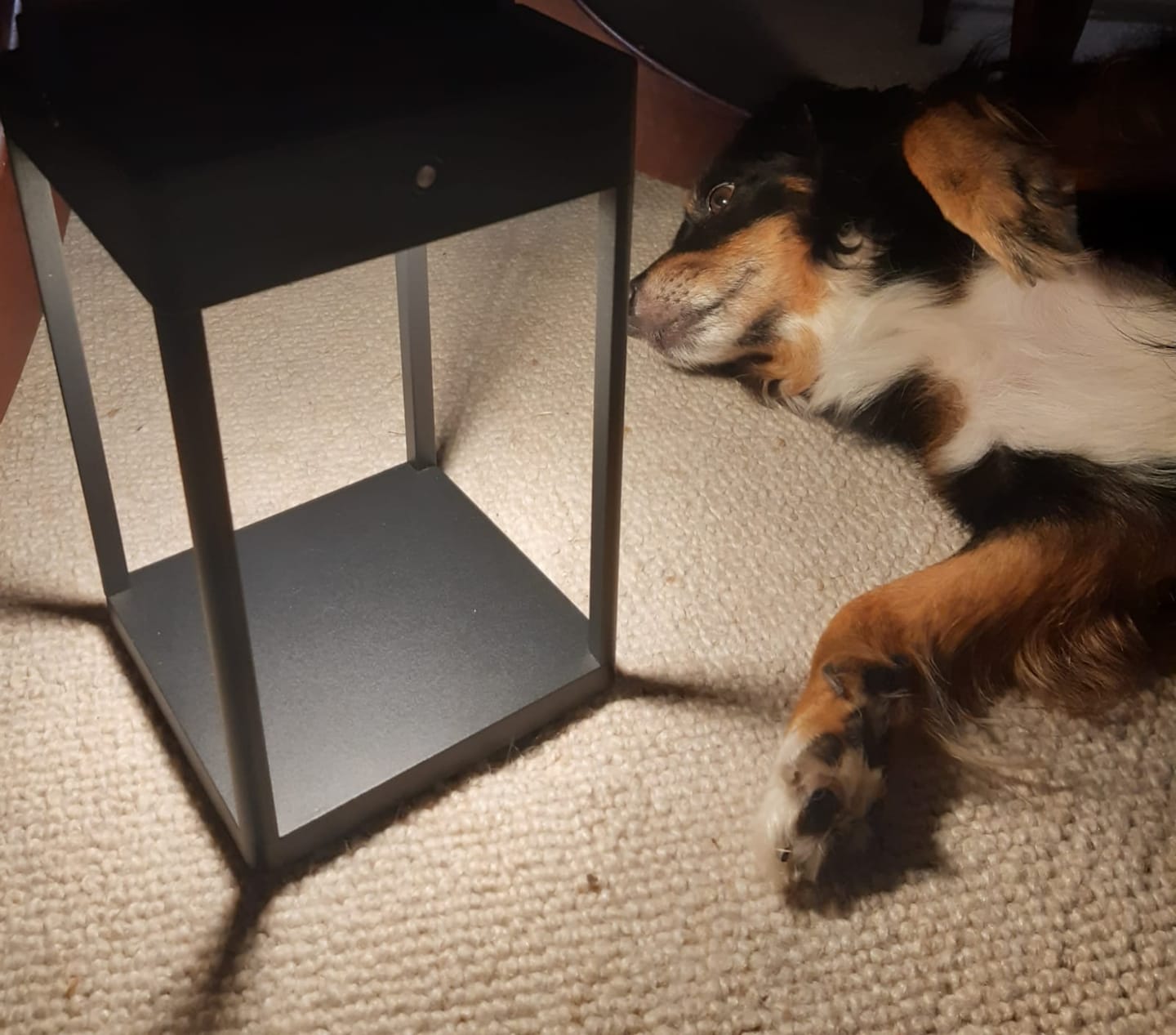Customer photo review of Luxury Metal Solar Lantern