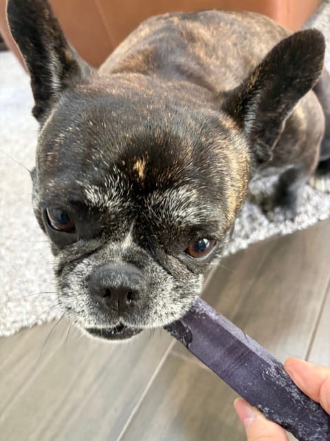 Customer photo review of Blueberry Yak Chews