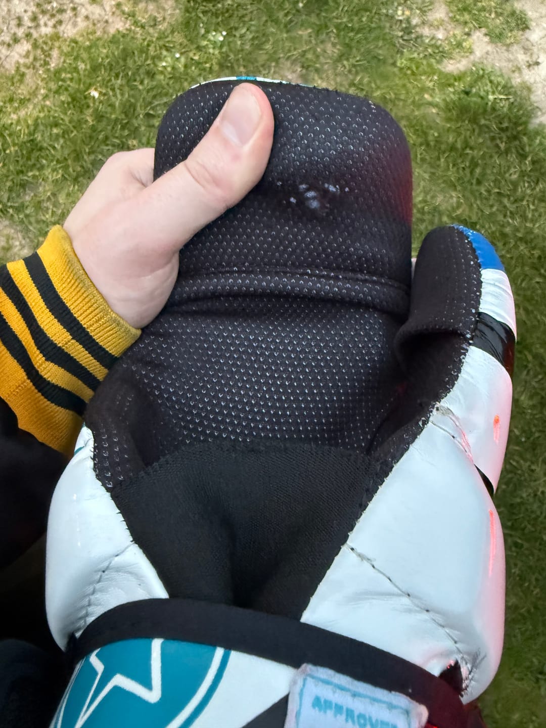 Customer photo review of TOP TEN Pointfighter Gloves "URBAN ARTS"