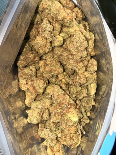 Customer photo review of Blueberry Muffin THCA Flower