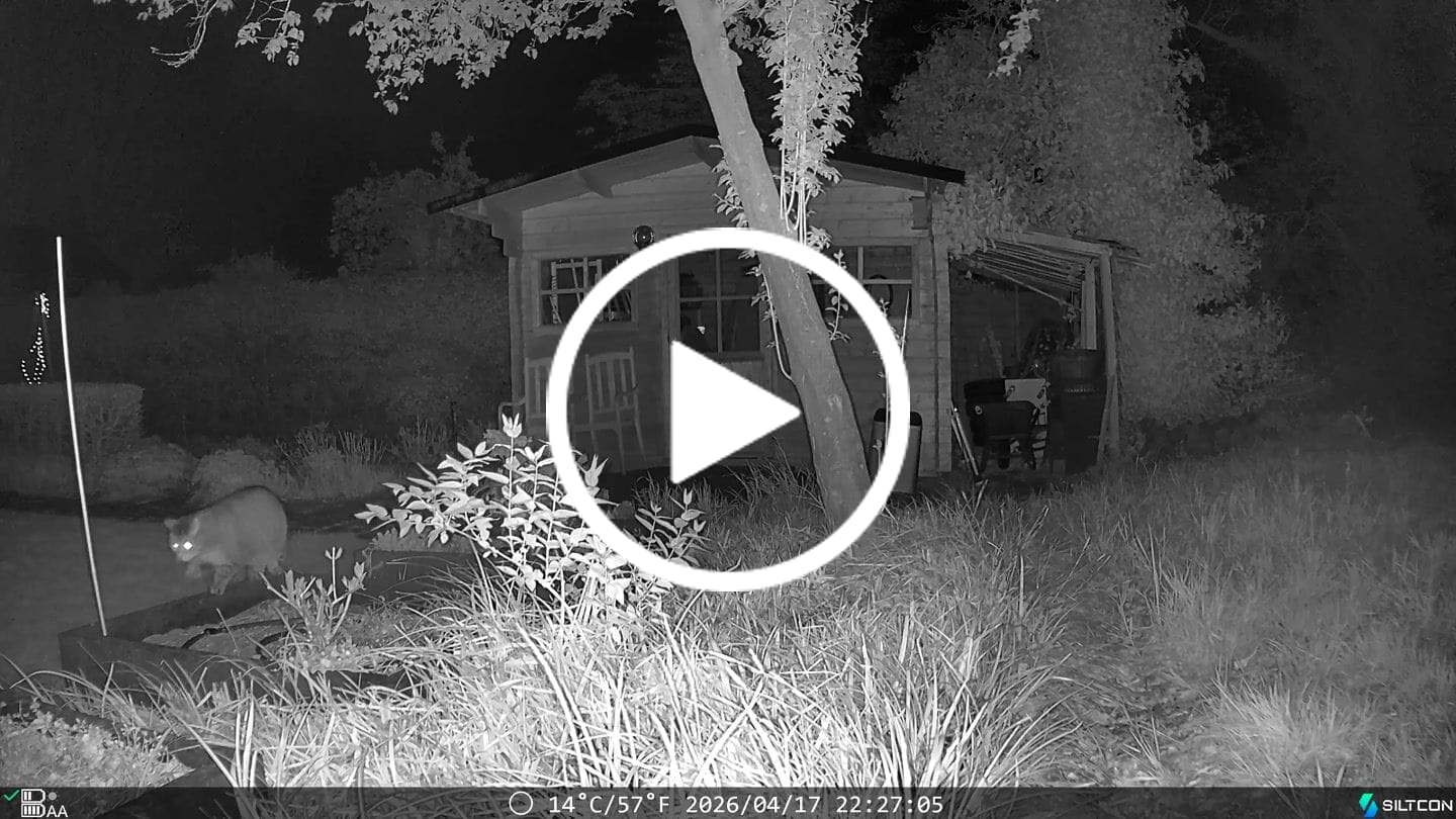 Customer video review of Siltcon® Wildcamera met Zonnepaneel 8K