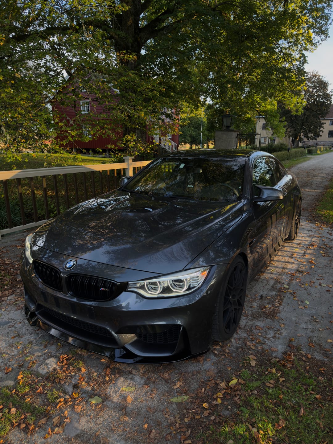 Customer photo review of BMW F80 | F82 | F83 CS Frontleppe