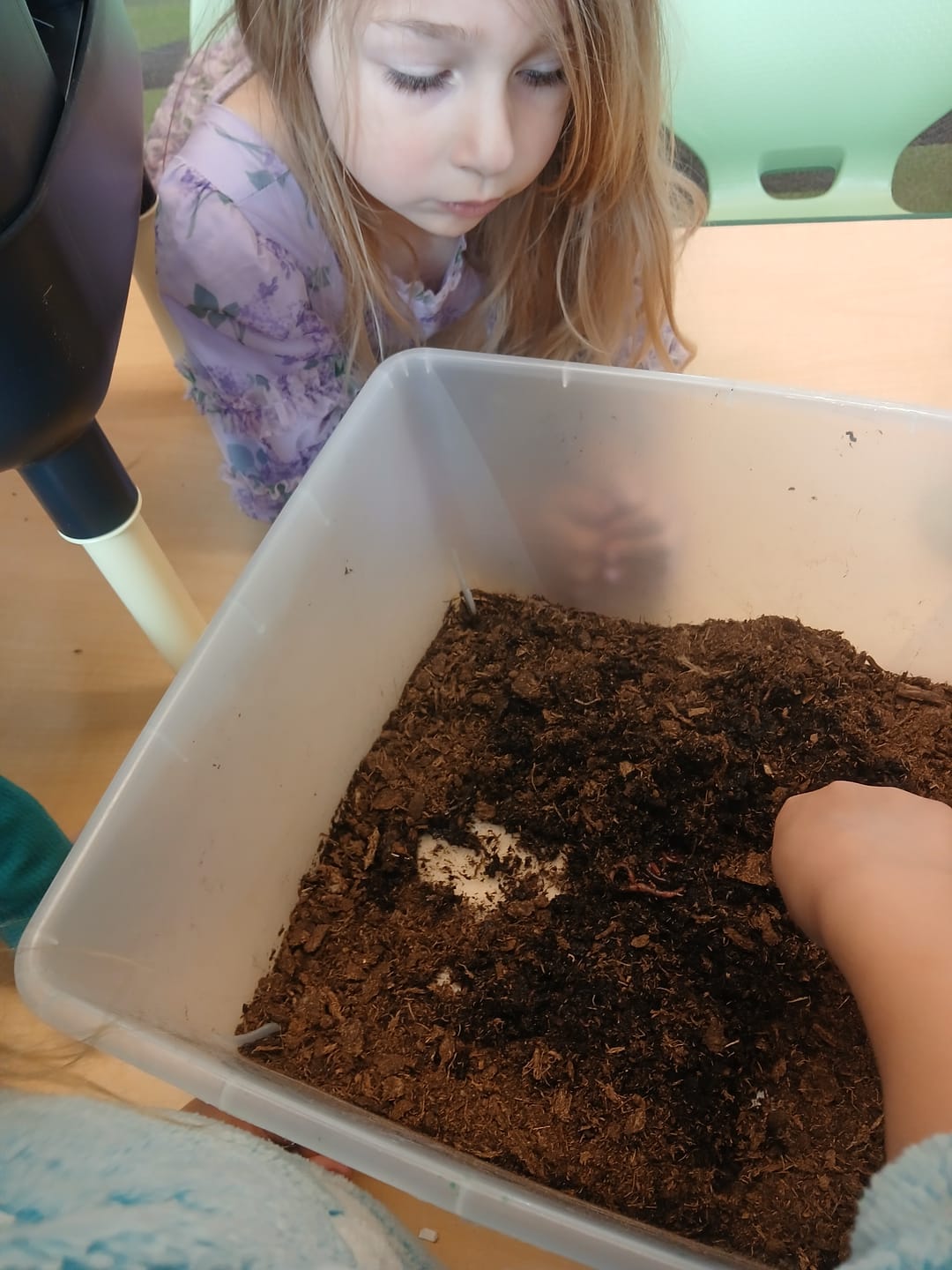 Customer photo review of Worm Bedding - Coco Coir