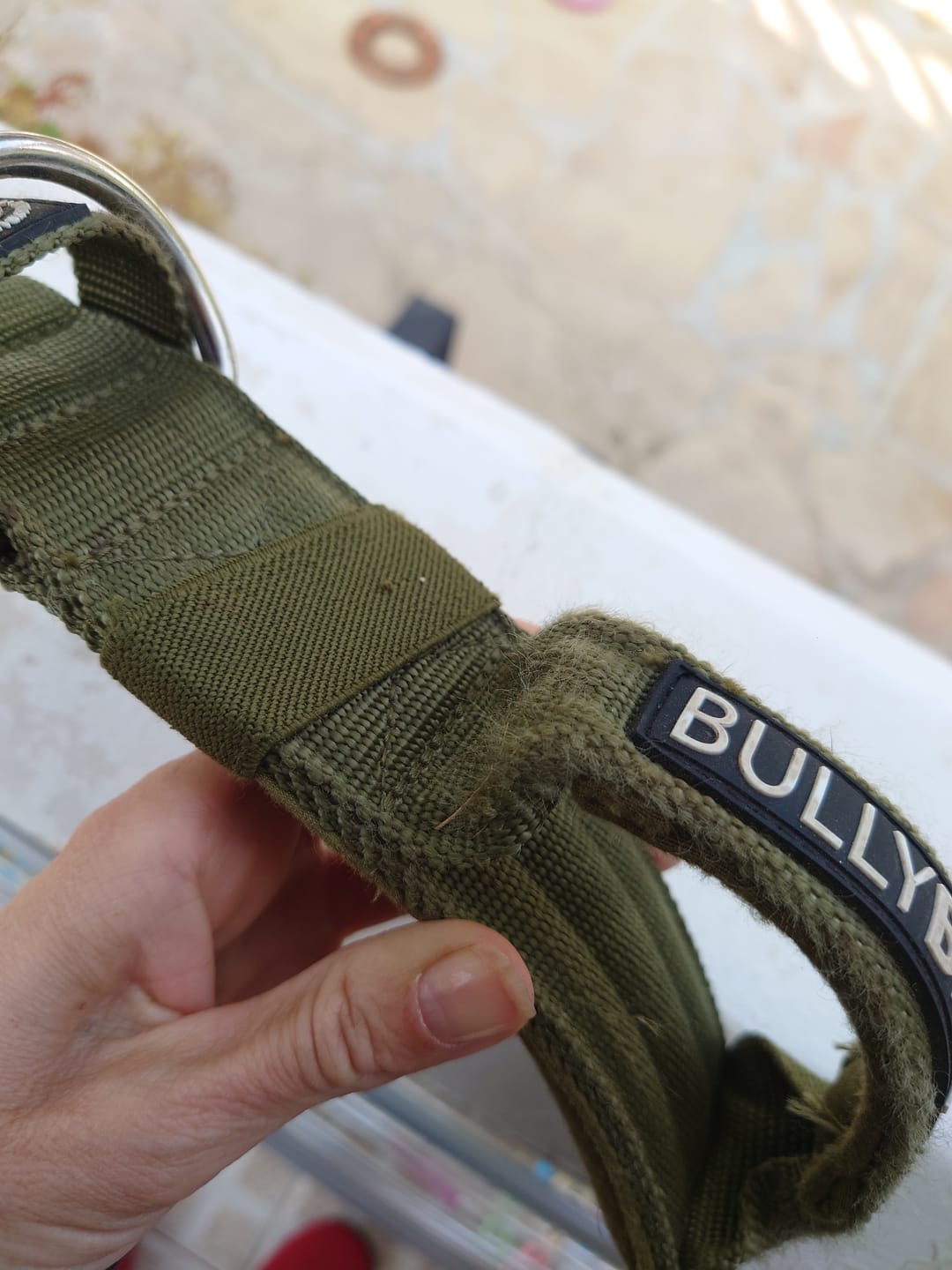 Customer photo review of 5cm Pin Buckle Collar | With Handle - Khaki