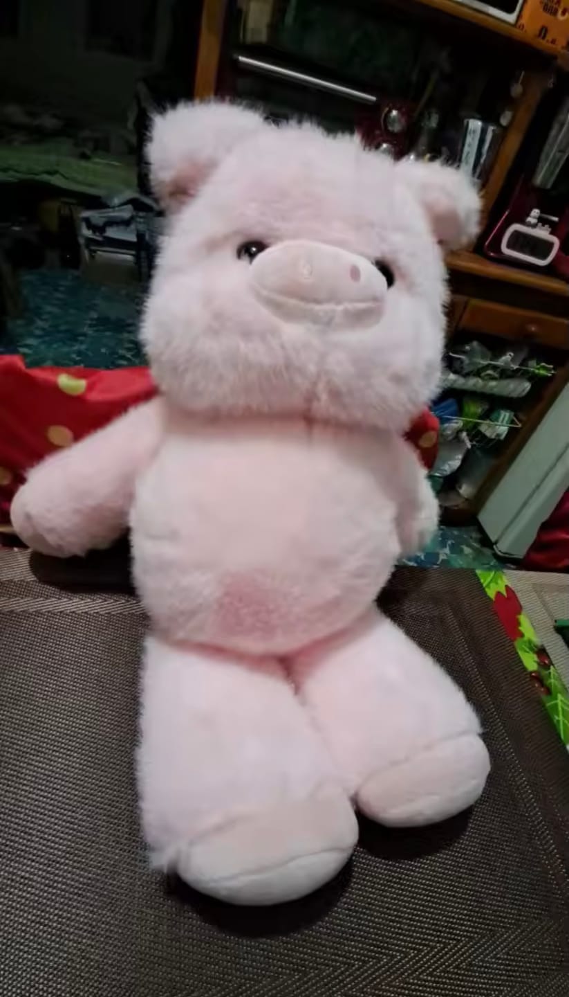 Customer photo review of Kiki & Koko los peluches que corren a tus brazos