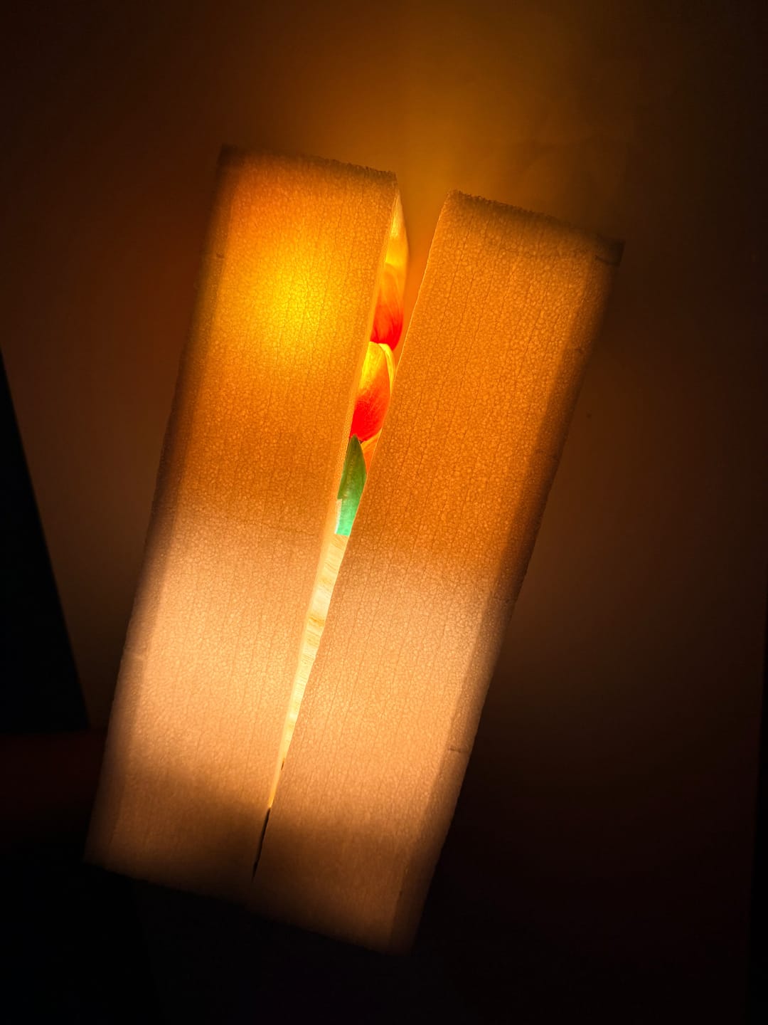 Customer photo review of Lampara LED de Tulipanes