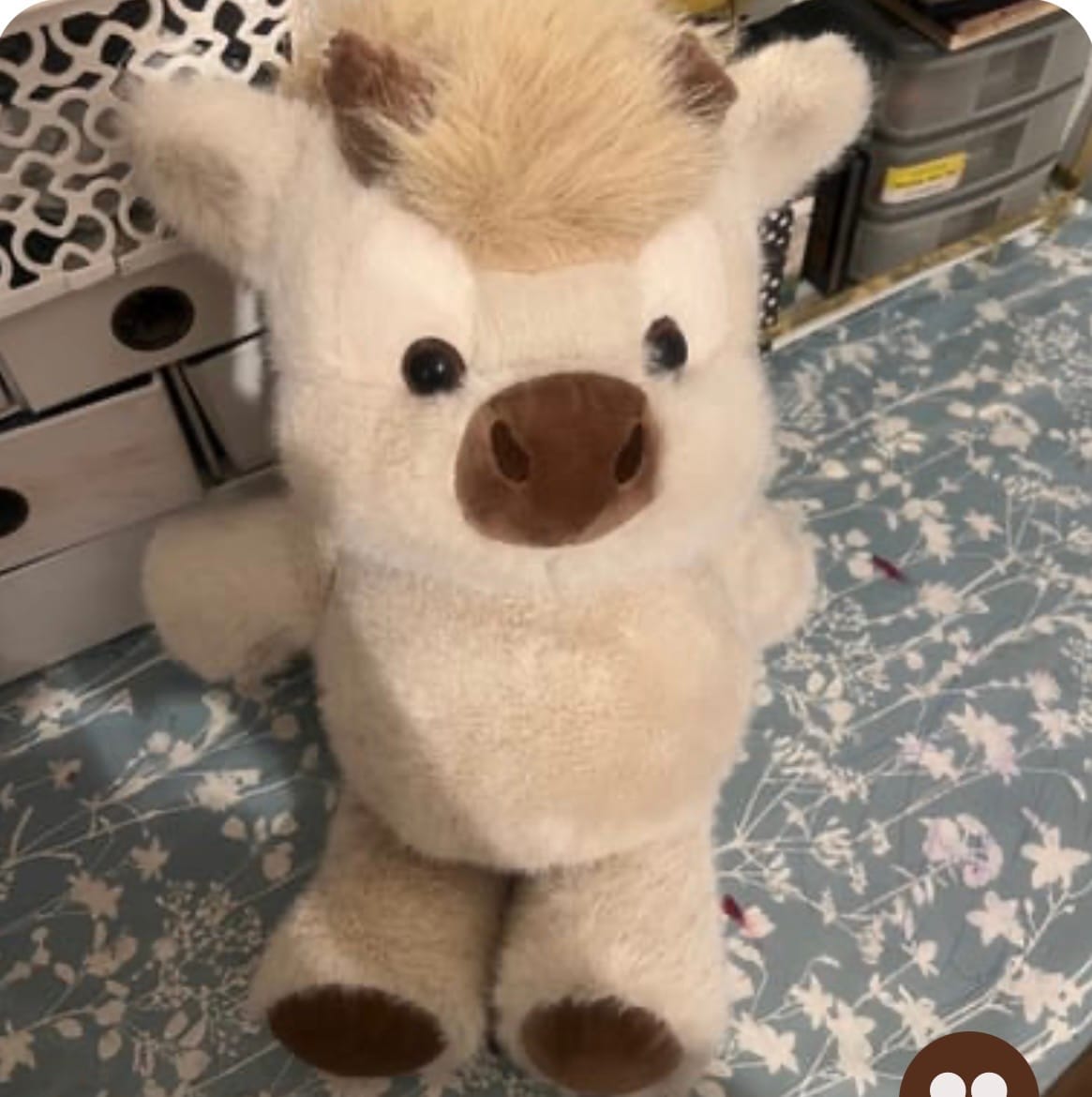 Customer photo review of Kiki & Koko los peluches que corren a tus brazos