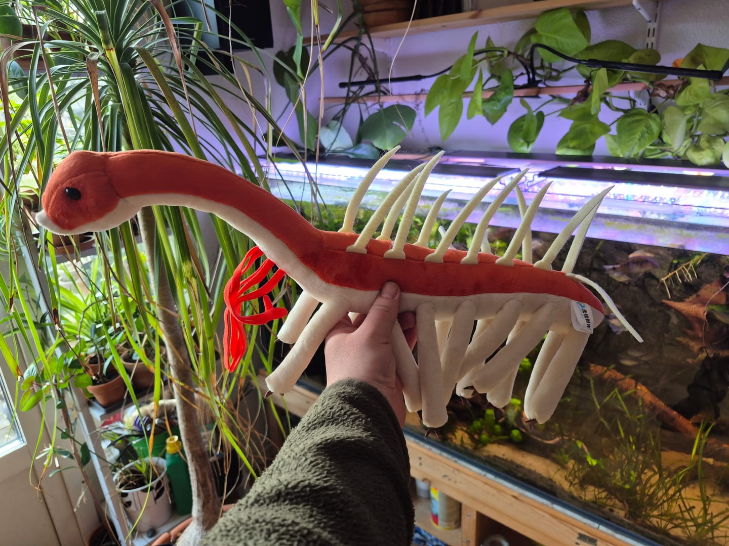 Customer photo review of Hallucigenia Cambrian Animal Soft Stuffed Plush Toy