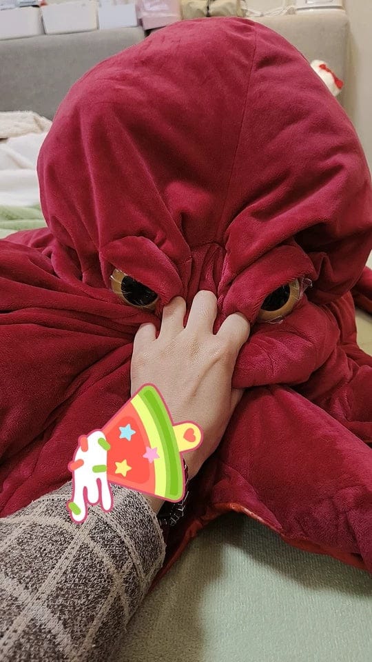 Customer photo review of Giant Pacific Octopus Plush Toy – Ultra-Realistic, Cuddly, and Perfect for Ocean Lovers