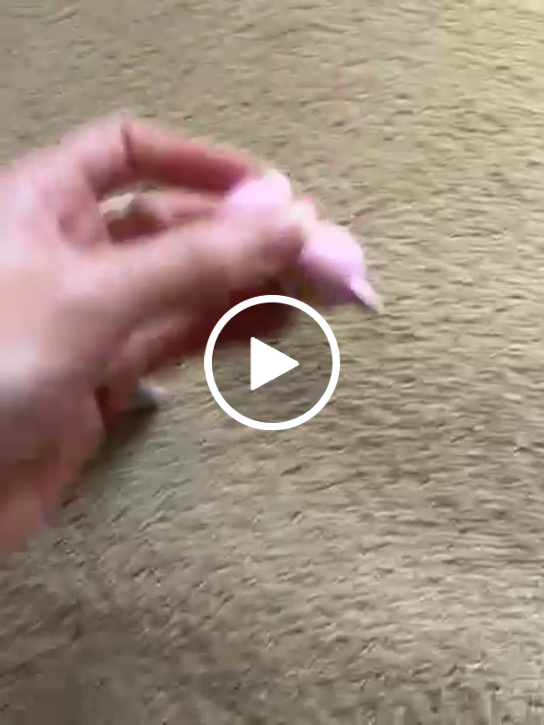 Customer video review of Mofusand blind box figure - Mini Figure Collection Vol 3