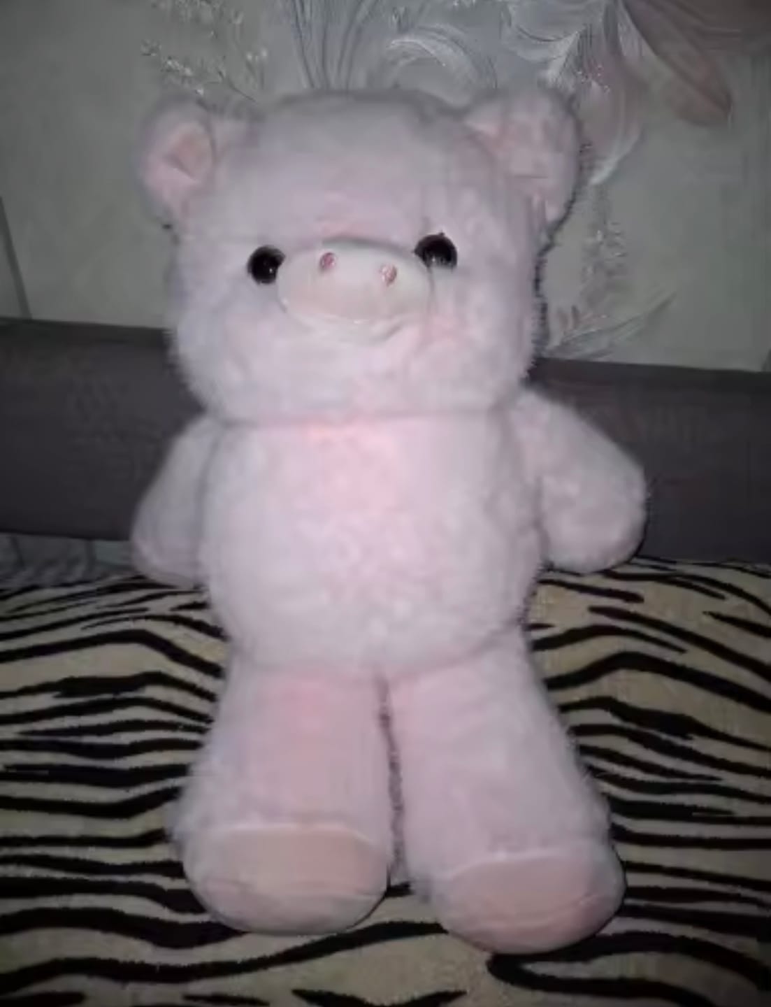 Customer photo review of Kiki & Koko los peluches que corren a tus brazos
