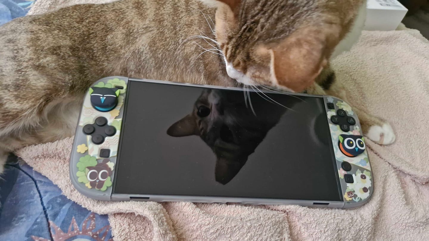 Customer photo review of GeekShare x HEI Series for Switch 2