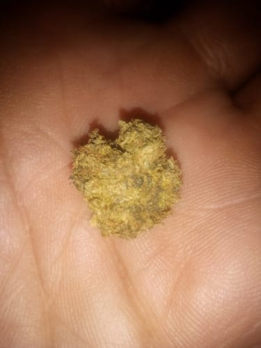 Customer photo review of Cheap THCA Smalls Ounce