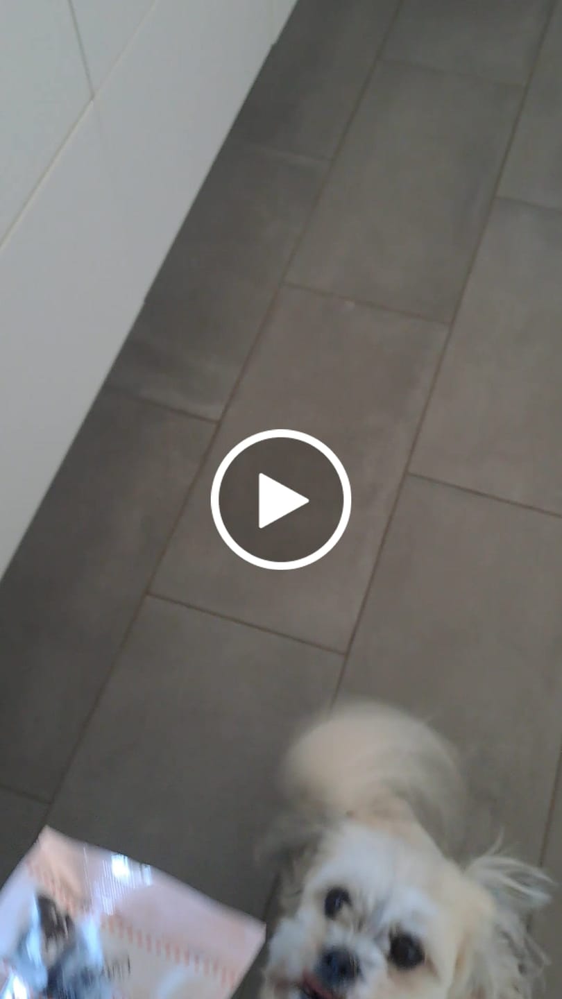 Customer video review of Companion - Slikkepinde Kasse m. Okse (60 stk.)