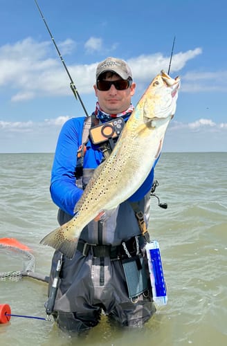 Reviewer using the Feral Concepts War Belt for wading, with gear attached, while holding a large fish.