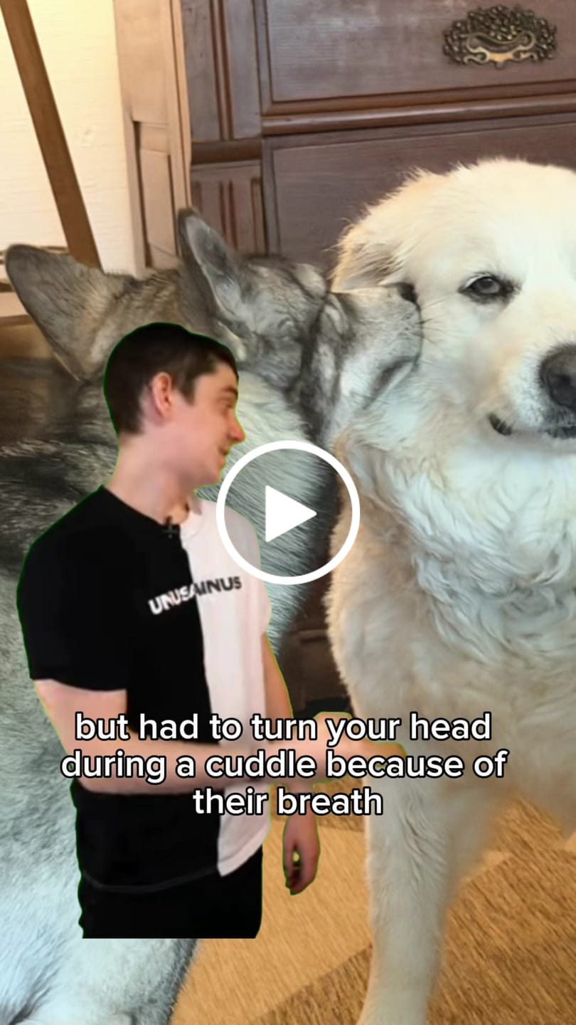 Customer video review of DENTAL STRIPS
