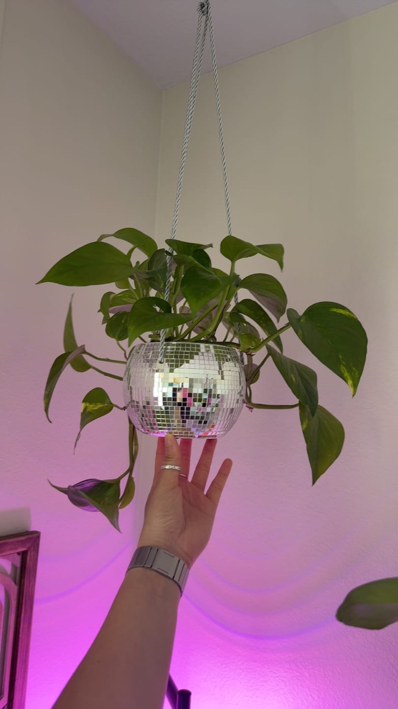 Customer photo review of Plant Food